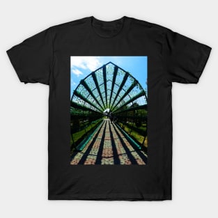 Symmetry in Turkestan T-Shirt